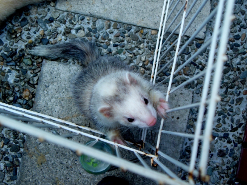 000014_0004_18.jpg