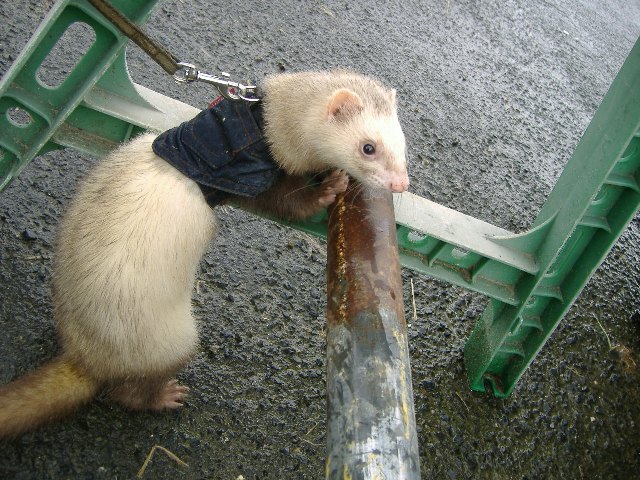 000030_0001_12.jpg