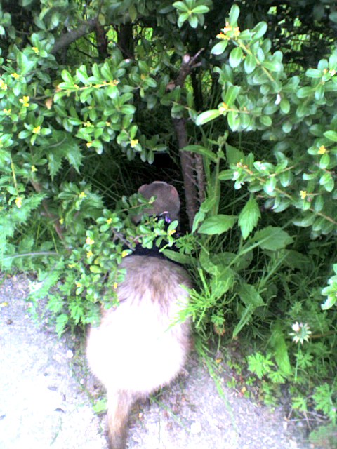 000030_0001_13.jpg