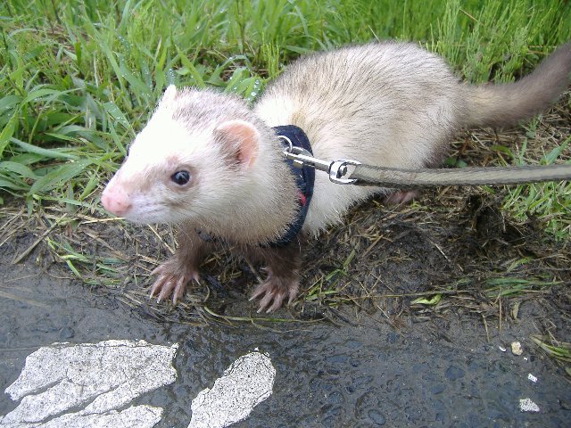 000030_0001_14.jpg