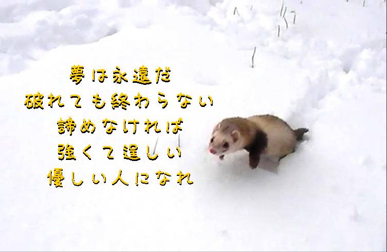 000030_0002_10.jpg