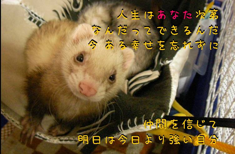 000030_0002_12.jpg