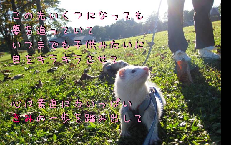 000030_0002_13.jpg