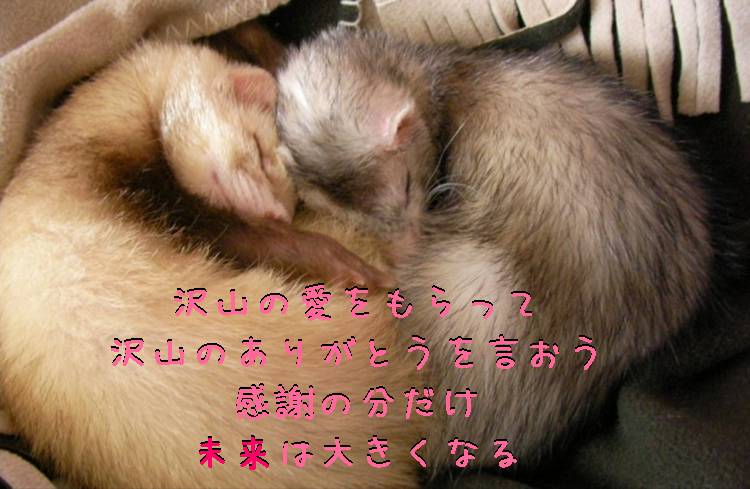 000030_0002_14.jpg