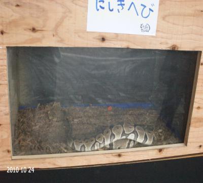 000137_0026_05.jpg