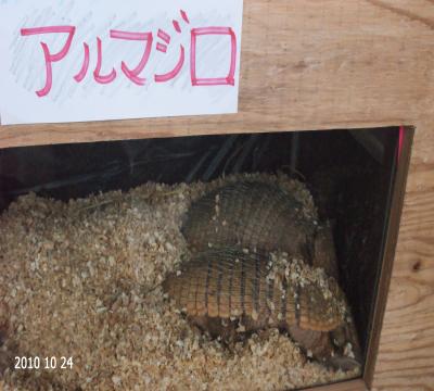 000137_0026_06.jpg