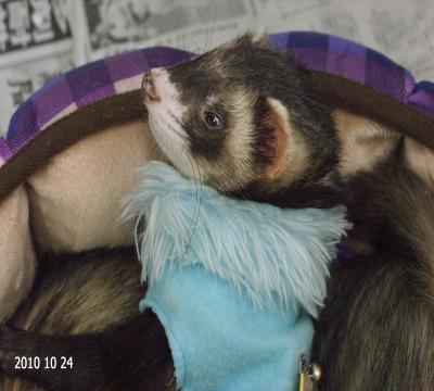 000137_0027_04.jpg