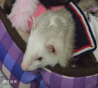 000137_0027_05.jpg