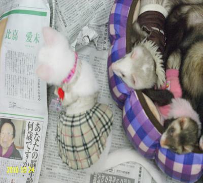 000137_0027_06.jpg