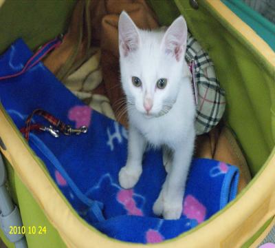 000137_0027_07.jpg