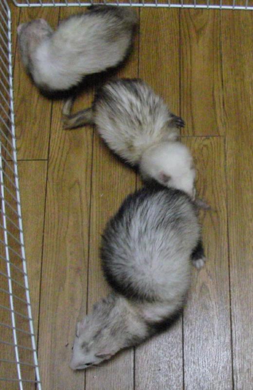 000159_0012_02.jpg