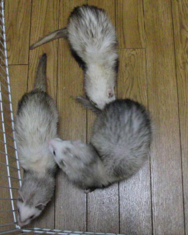 000159_0012_03.jpg