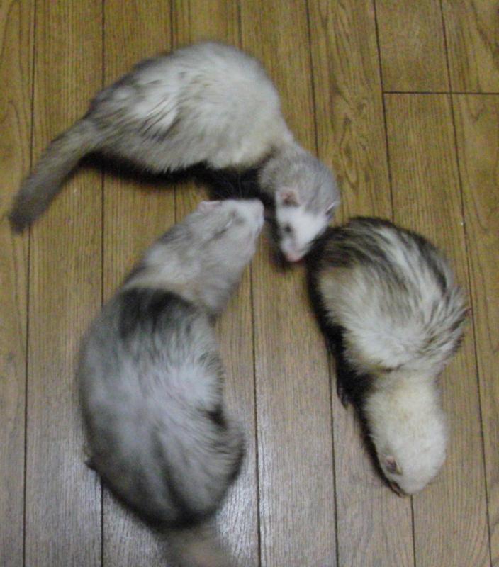 000159_0012_04.jpg