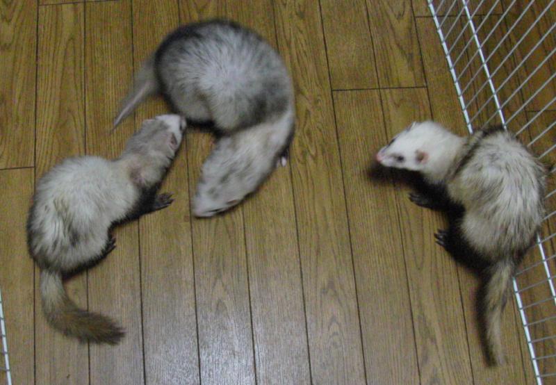 000159_0012_05.jpg