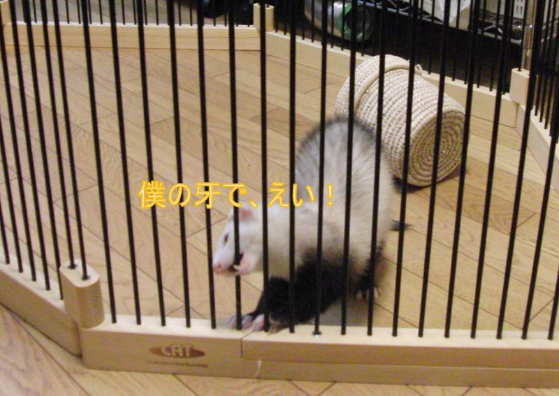 000159_0015_03.jpg