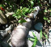 000227_0001_15.jpg