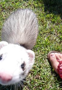 000227_0001_17.jpg