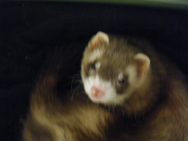 000374_0002_04.jpg