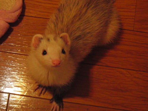 000473_0002_08.jpg