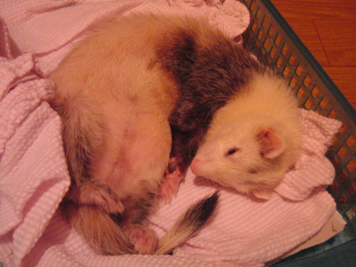 000473_0002_09.jpg