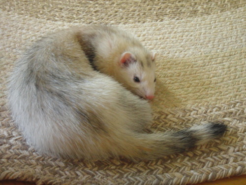 000473_0002_10.jpg