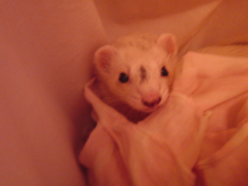 000473_0005_02.jpg