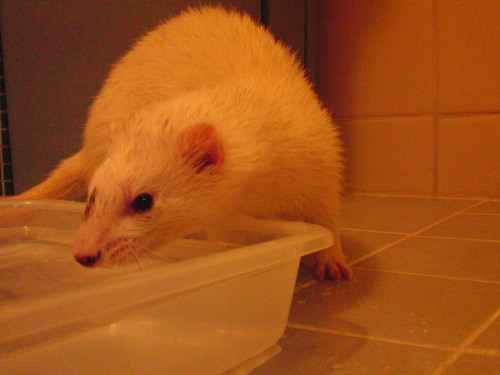 000473_0005_03.jpg