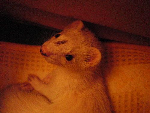 000473_0005_04.jpg