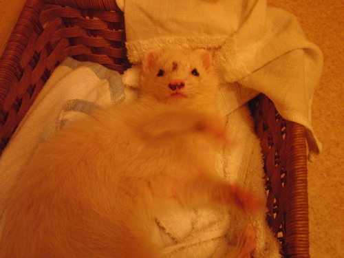 000473_0005_05.jpg