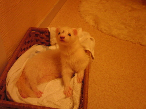 000473_0005_06.jpg