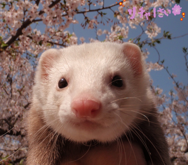 000569_0005_04.jpg