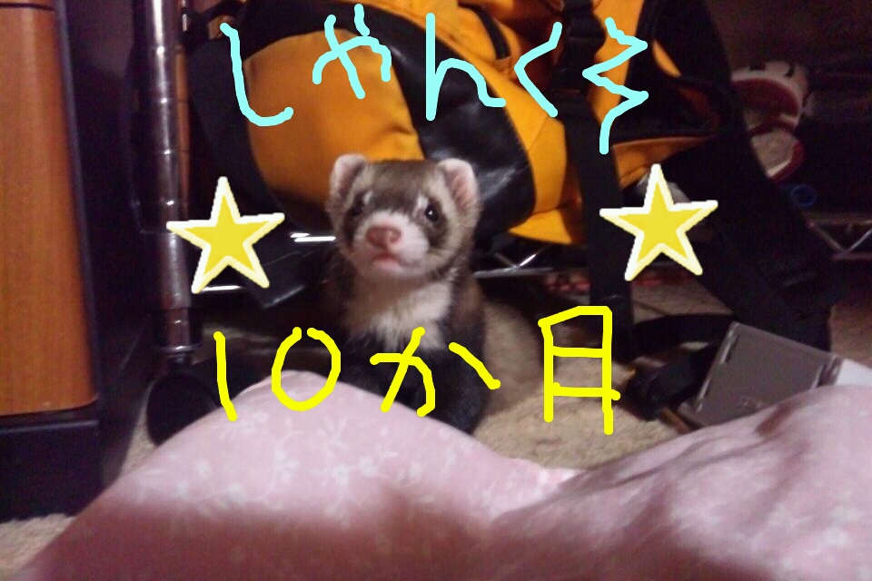 000643_0001_03.jpg