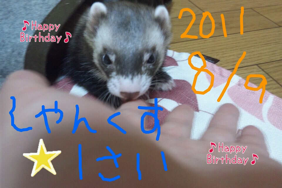 000643_0001_08.jpg