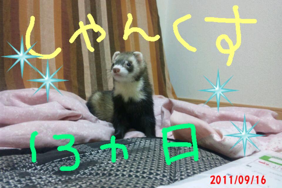 000643_0001_11.jpg