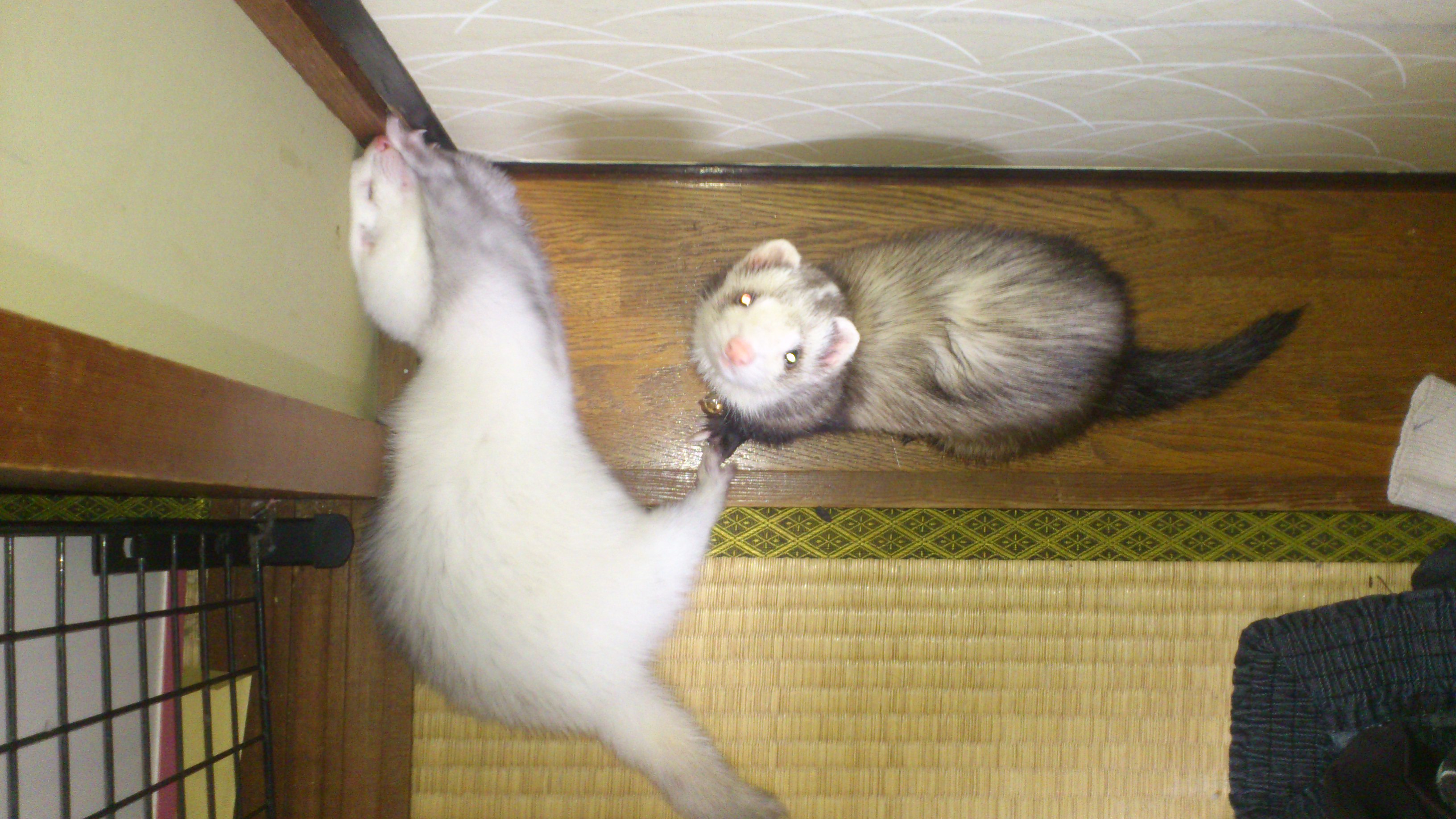 000703_0001_09.jpg