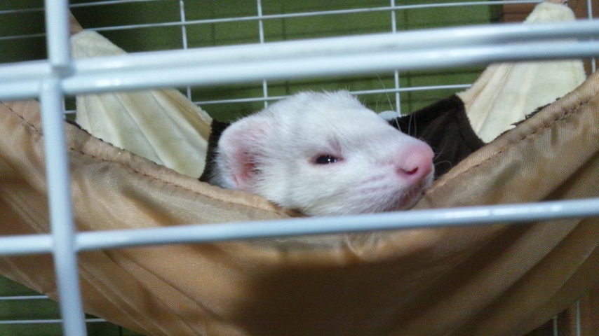 000710_0002_02.jpg