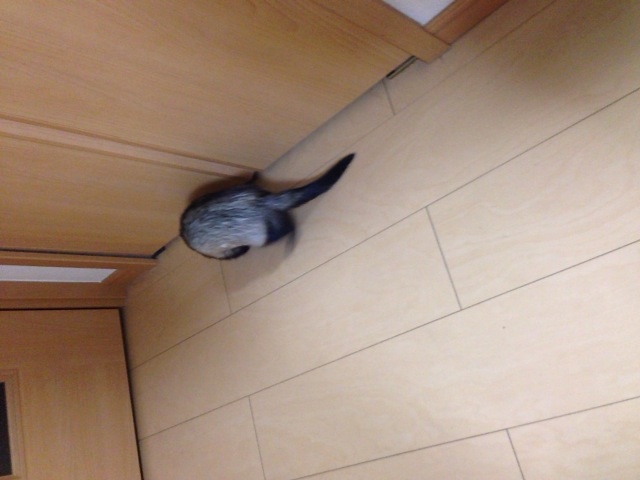 000748_0002_13.jpg