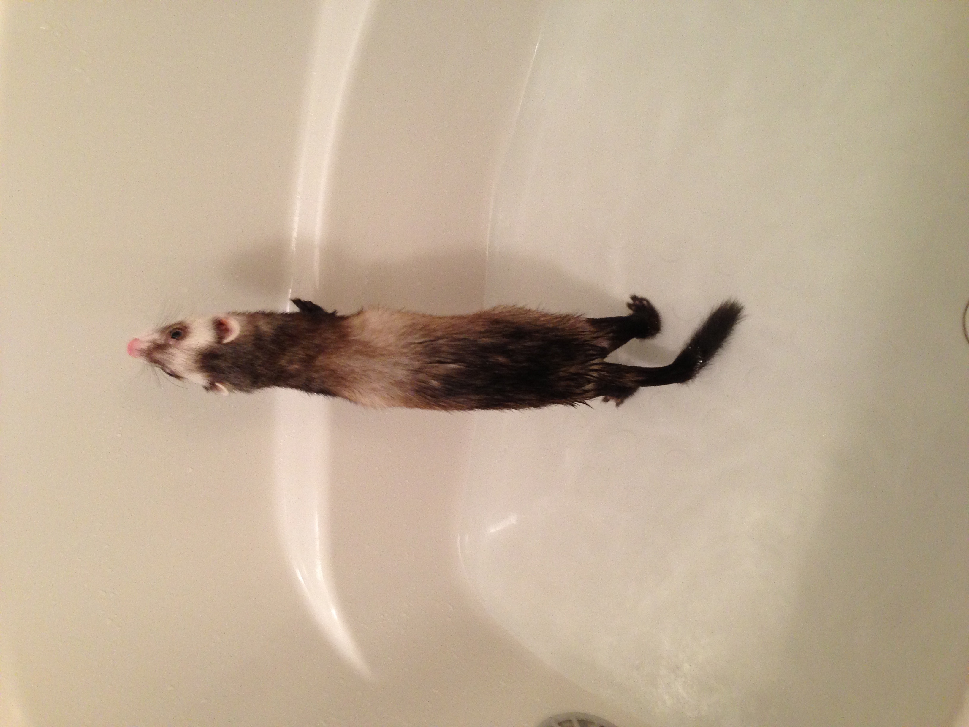 000748_0002_15.jpg