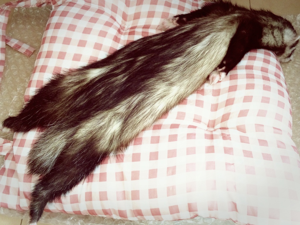 000827_0001_34.jpg